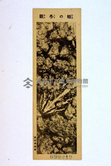 登錄號:KH2003.003.0086藏品圖，第80張