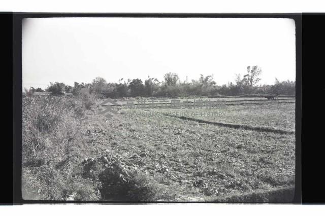 登錄號:KH2002.010.0088藏品圖，第19張