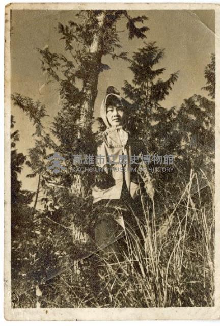 登錄號:KH2006.028.0008藏品圖，第219張