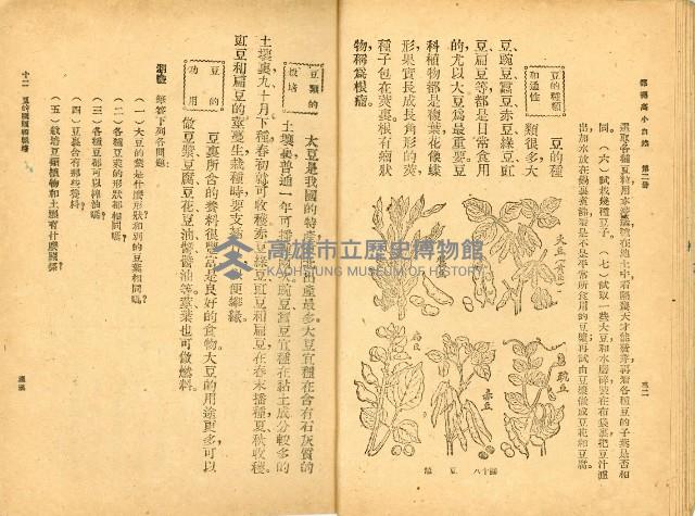 《高級小學 自然課本 第二冊》藏品圖，第21張