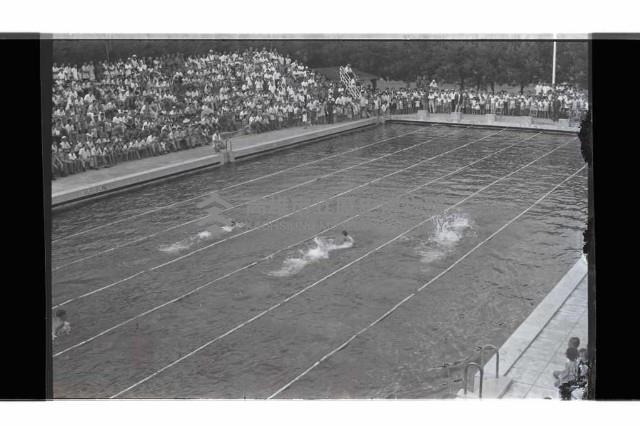 登錄號:KH2002.014.0115藏品圖，第19張