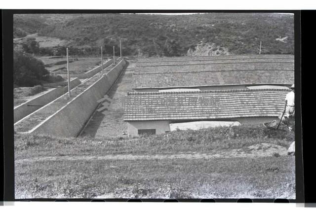 登錄號:KH2002.011.0003藏品圖，第19張