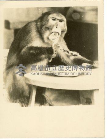 登錄號:KH2006.028.0008藏品圖，第9張