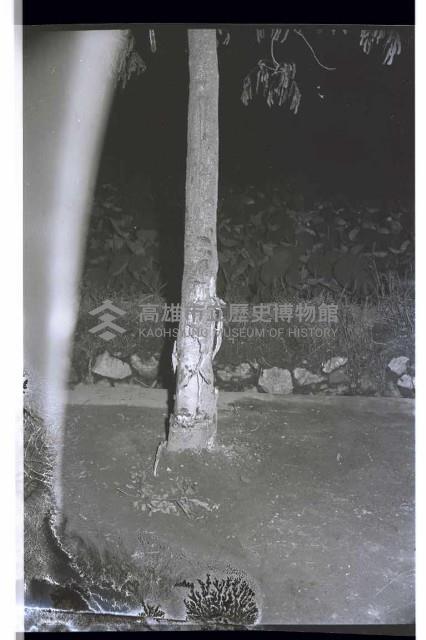 登錄號:KH2002.008.0030藏品圖，第9張