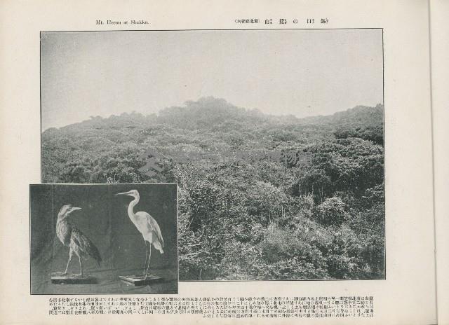 登錄號:KH2003.008.0176藏品圖，第9張