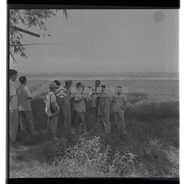 登錄號:KH2002.009.0012藏品圖，第9張