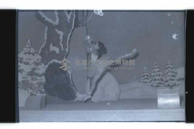 登錄號:KH2002.017.0082藏品圖，第9張