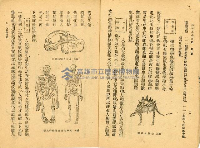 《高級小學 自然課本 第二冊》藏品圖，第11張