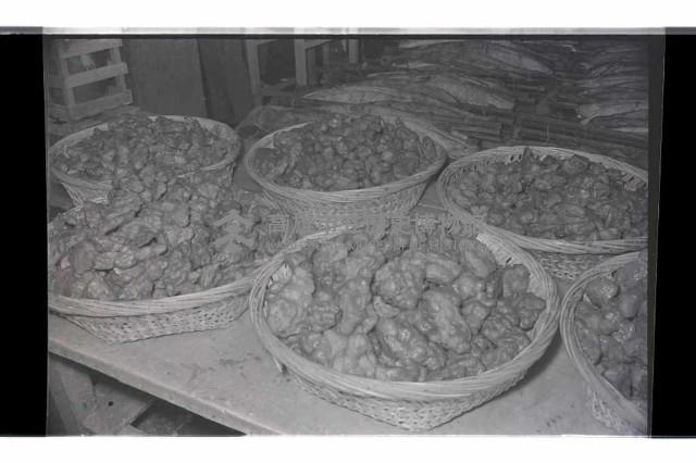 登錄號:KH2002.018.0125藏品圖，第9張