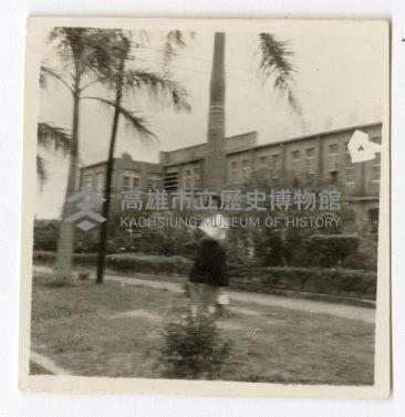 登錄號:KH2006.028.0009藏品圖，第239張