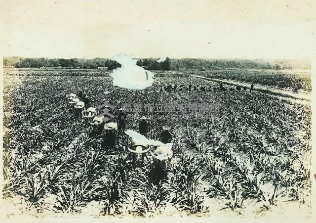 登錄號:KH2003.008.0179藏品圖，第39張