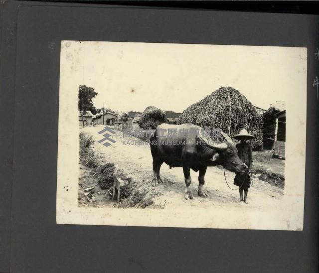 高雄縣美濃鎮吉洋國民小學相本一本（相本B）藏品圖，第29張