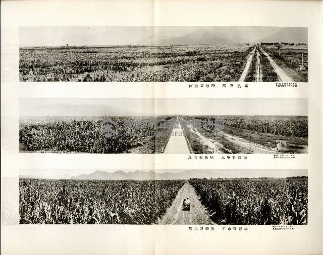 登錄號:KH2003.008.0178藏品圖，第429張