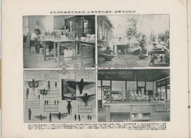 登錄號:KH2003.008.0176藏品圖，第28張