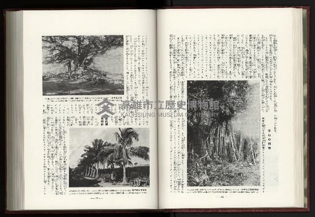 《日本地理風俗大系-  第十五卷 臺灣篇》藏品圖，第48張