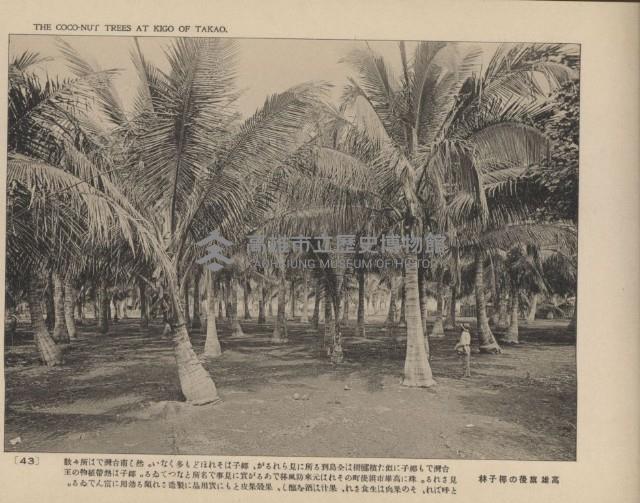 《臺灣的風光》寫真冊藏品圖，第48張