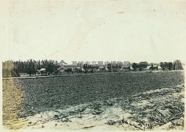 登錄號:KH2003.008.0179藏品圖，第48張