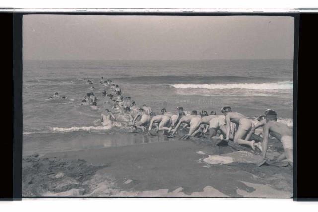 登錄號:KH2002.019.0021藏品圖，第18張