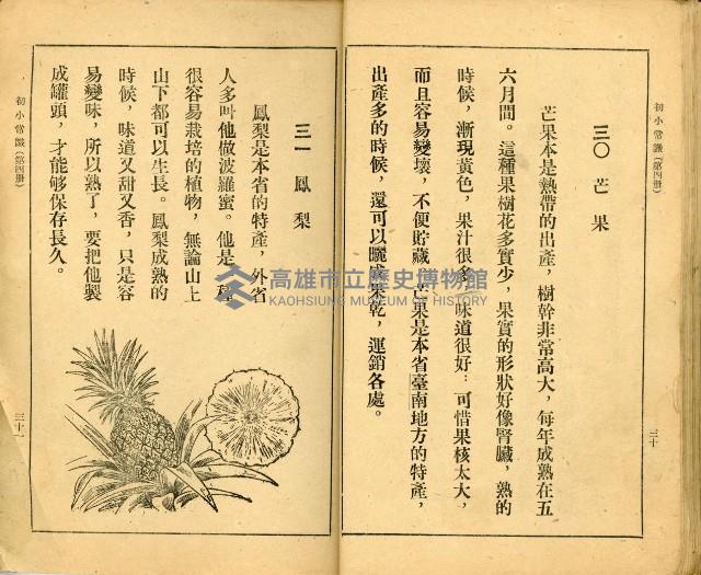 《初級小學適用 常識 第四冊》藏品圖，第20張