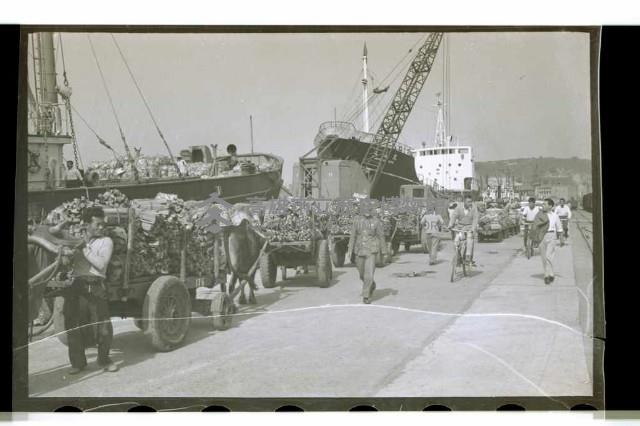 登錄號:KH2002.008.0009藏品圖，第18張