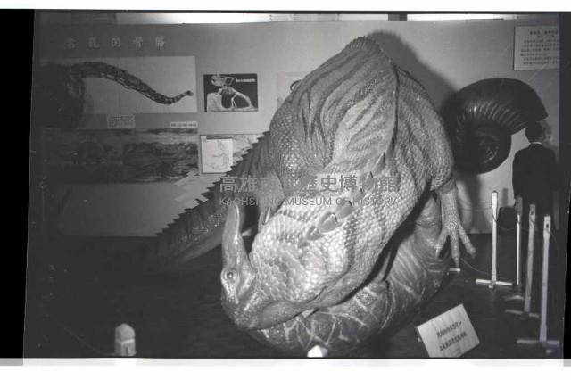 登錄號:KH2002.020.0008藏品圖，第8張