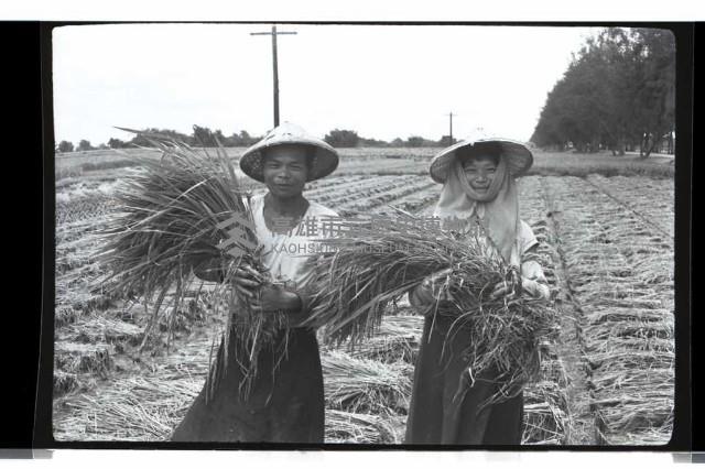 登錄號:KH2002.011.0016藏品圖，第8張