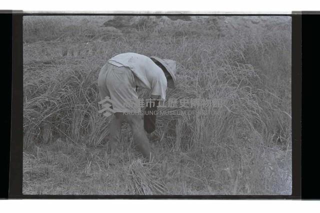 登錄號:KH2002.009.0254藏品圖，第8張