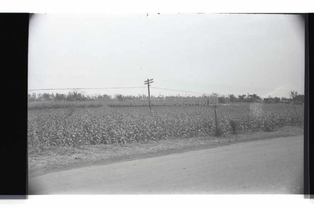 登錄號:KH2002.010.0087藏品圖，第8張