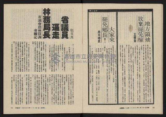 《美麗島NO.4》藏品圖，第8張