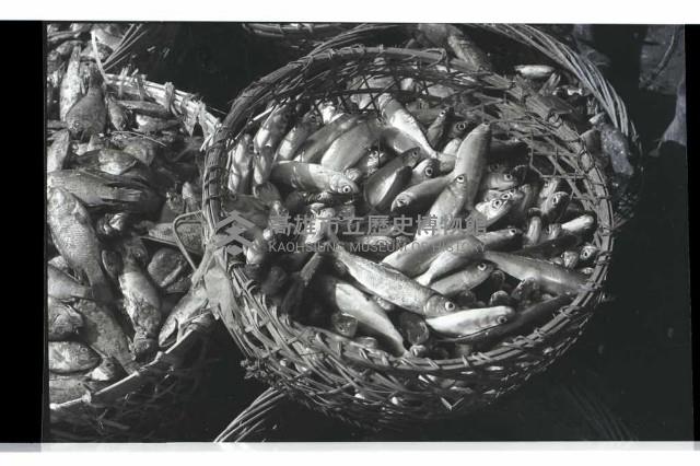 登錄號:KH2002.012.0435藏品圖，第8張