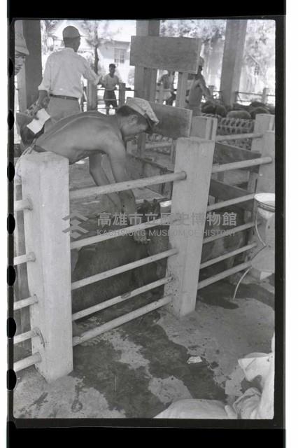 登錄號:KH2002.012.0069藏品圖，第8張