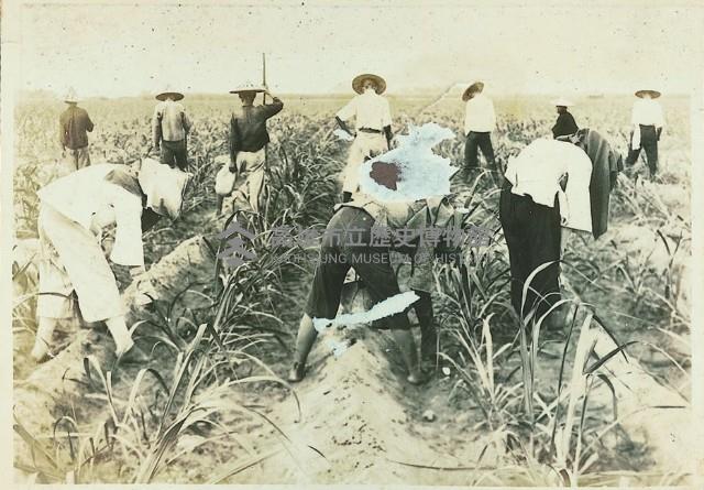 登錄號:KH2003.008.0179藏品圖，第38張