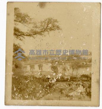 登錄號:KH2006.028.0008藏品圖，第123張