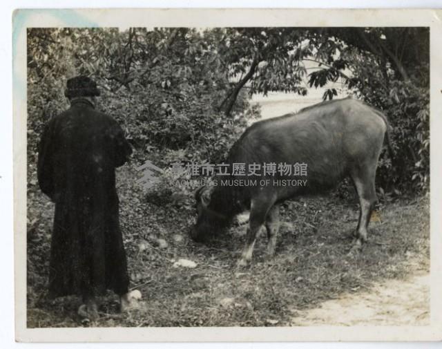 登錄號:KH2006.028.0009藏品圖，第183張