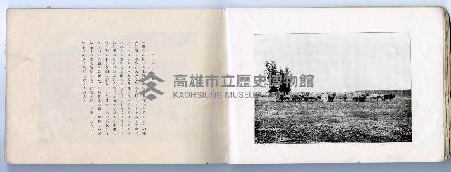 登錄號:KH2003.008.0182藏品圖，第13張