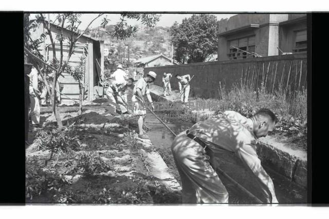 登錄號:KH2002.009.0295藏品圖，第3張