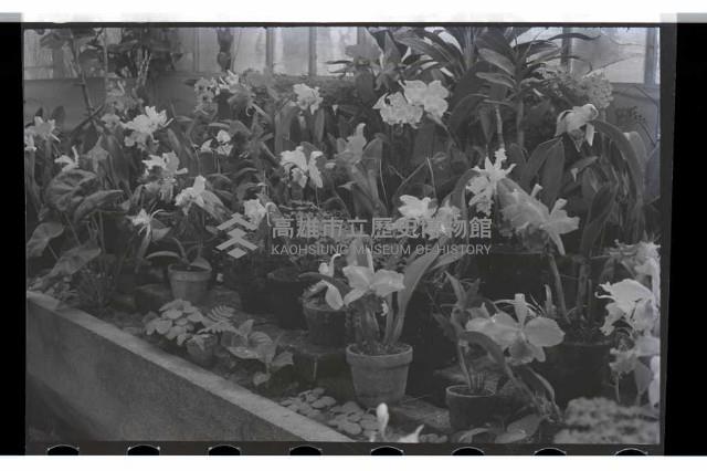 登錄號:KH2002.009.0099藏品圖，第3張