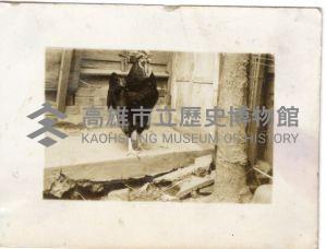 登錄號:KH2006.028.0018藏品圖，第333張