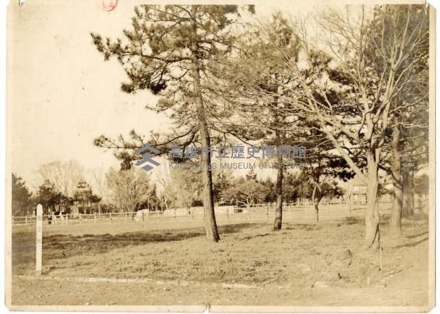 登錄號:KH2006.028.0006藏品圖，第33張