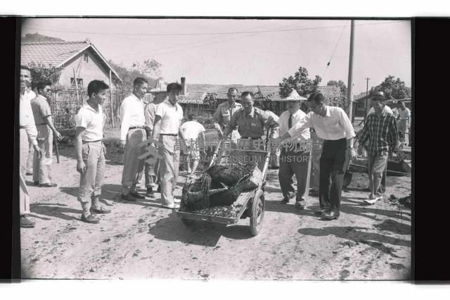 登錄號:KH2002.009.0295藏品圖，第7張