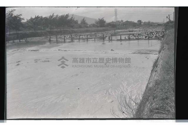 登錄號:KH2002.018.0099藏品圖，第7張