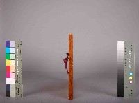 高雄煉油總廠93年度提案活動團體競賽操作類獎銀獎獎狀藏品圖，第4張