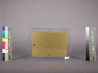 高雄煉油總廠第10屆第2次工安衛生競賽第一組冠軍藏品圖，第5張
