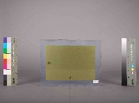 高雄煉油總廠第10屆第3次工安衛生競賽第一組季軍藏品圖，第5張