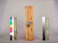 中殼潤滑油股份有限公司意見園地藏品圖，第5張