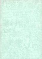 台灣勞工運動支援會台北分會1991年成立暨會員大會手冊藏品圖，第5張