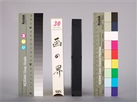 行政院勞工委員會1994年台灣區勞工運動大會趣味競賽示範說明錄影帶藏品圖，第5張