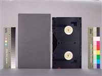 行政院勞工委員會1995年臺灣區勞工運動大會(上)錄影帶藏品圖，第3張