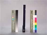 行政院勞工委員會1995年臺灣區勞工運動大會(下)錄影帶藏品圖，第5張