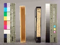 1230慶功宴 爭獎金：台塑員工柔性抗爭藏品圖，第3張